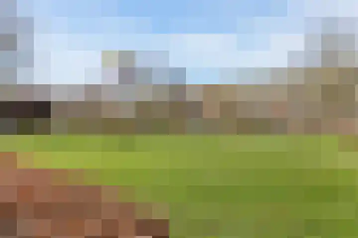 Stijn Streuvelslaan 8 Etten-Leur thumbnail 33