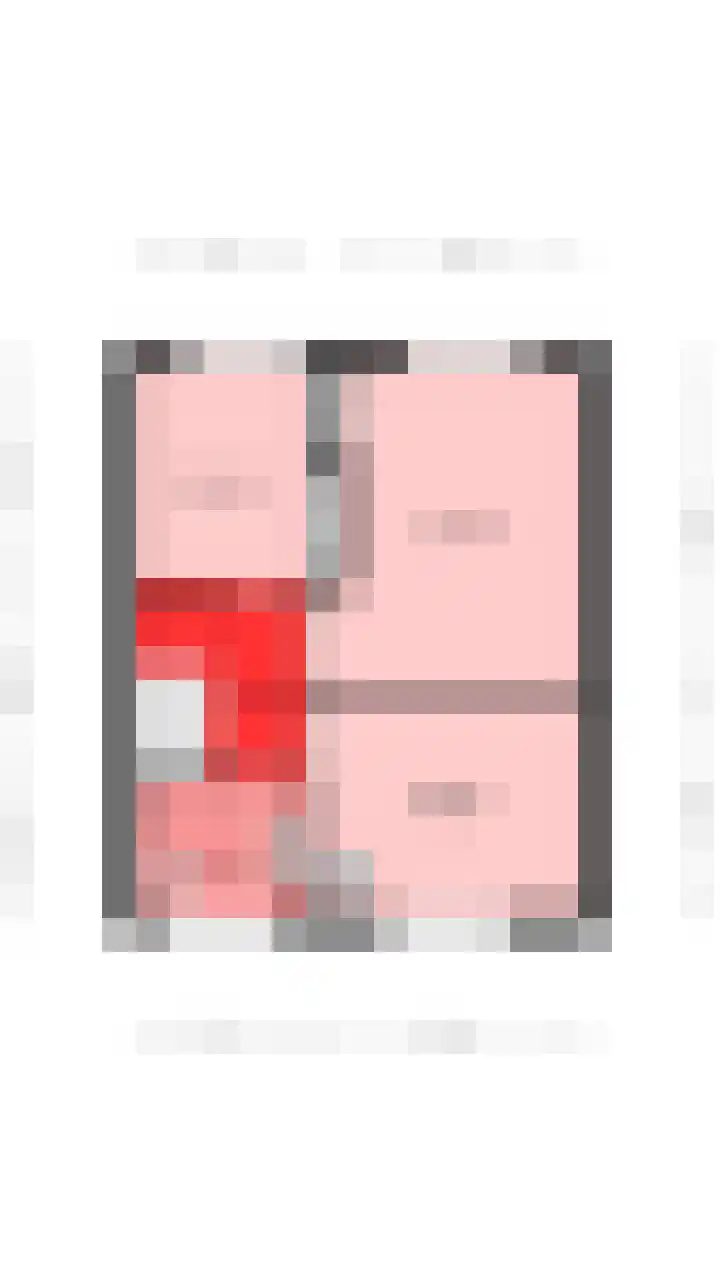 Stijn Streuvelslaan 8 Etten-Leur thumbnail 36