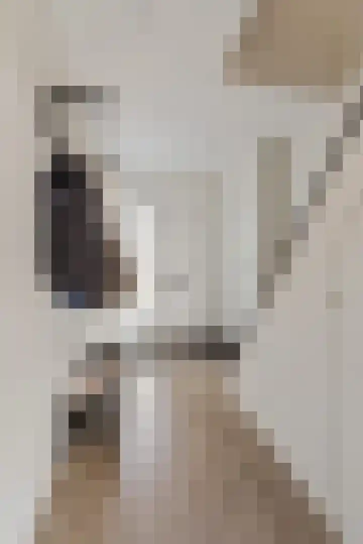 Stijn Streuvelslaan 8 Etten-Leur thumbnail 7