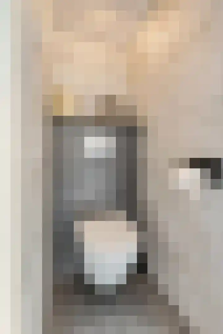Stijn Streuvelslaan 8 Etten-Leur thumbnail 8