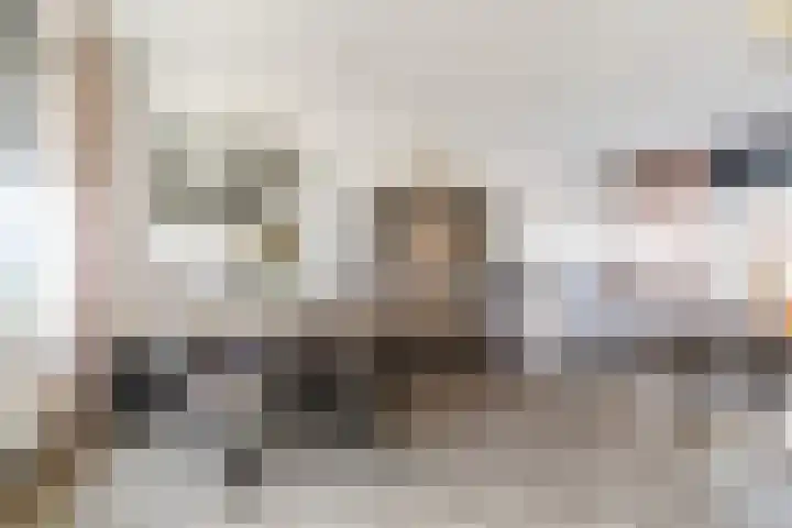 Stijn Streuvelslaan 8 Etten-Leur thumbnail 9