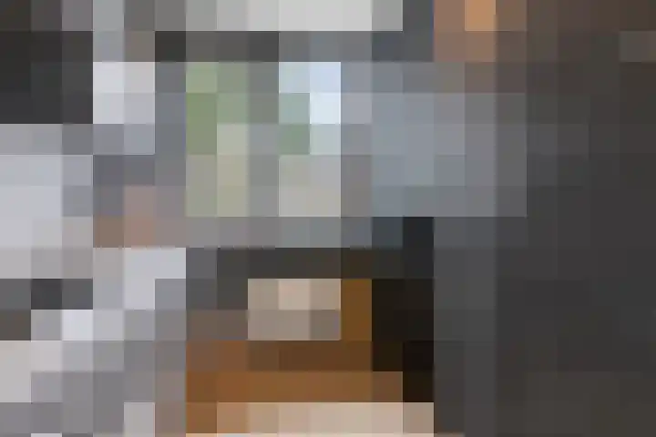 Stijn Streuvelsplantsoen 18 Hillegom thumbnail 12