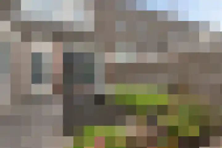 Stijn Streuvelsplantsoen 18 Hillegom thumbnail 13