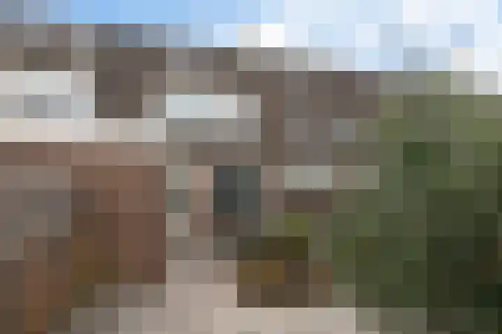 Stijn Streuvelsplantsoen 18 Hillegom thumbnail 14