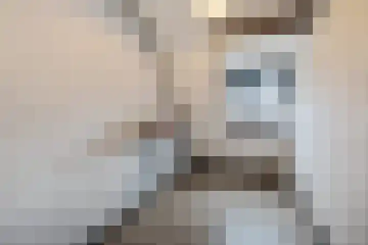 Stijn Streuvelsplantsoen 18 Hillegom thumbnail 19