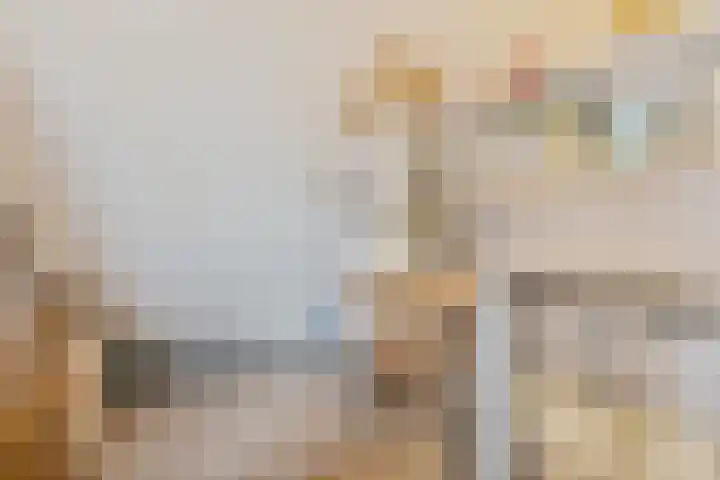 Stijn Streuvelsplantsoen 18 Hillegom thumbnail 23