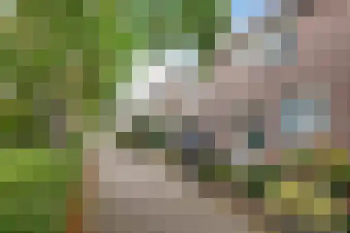 Stijn Streuvelsplantsoen 18 Hillegom thumbnail 27