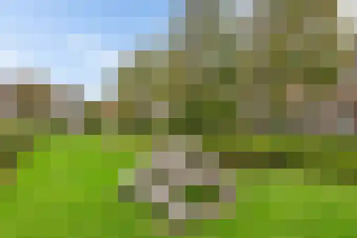 Stijn Streuvelsplantsoen 18 Hillegom thumbnail 28