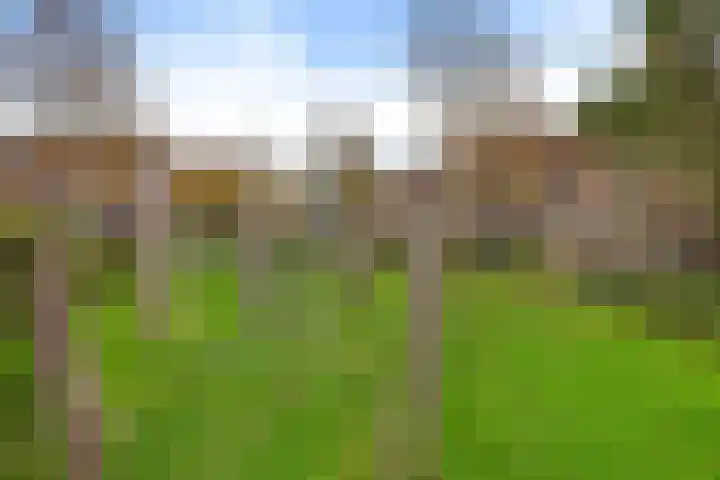 Stijn Streuvelsplantsoen 18 Hillegom thumbnail 29