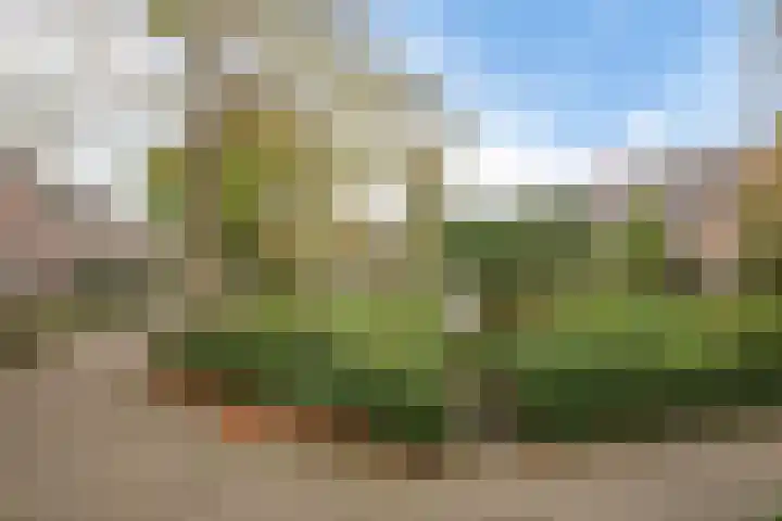 Stijn Streuvelsplantsoen 18 Hillegom thumbnail 30