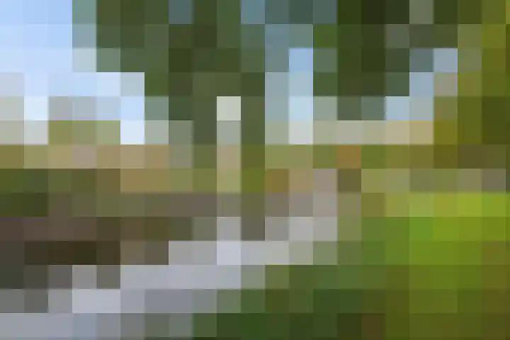 Stijn Streuvelsplantsoen 18 Hillegom thumbnail 31