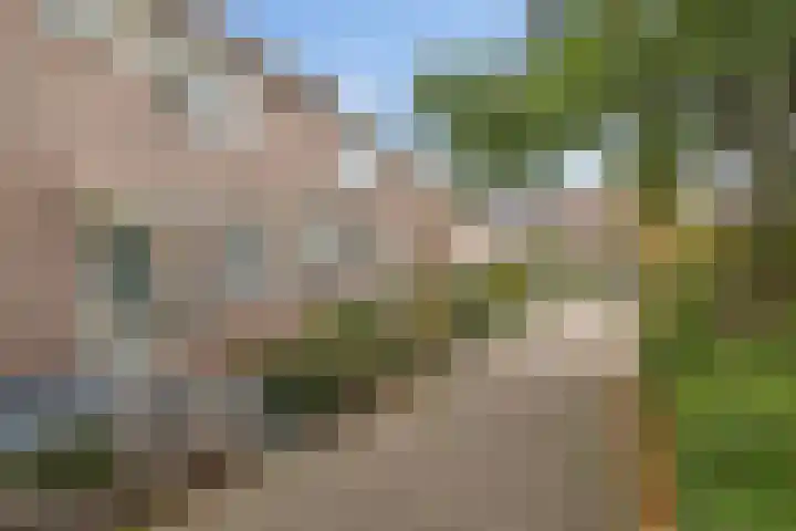 Stijn Streuvelsplantsoen 18 Hillegom thumbnail 4