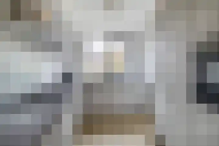 Stijn Streuvelsplantsoen 19 Hillegom thumbnail 12