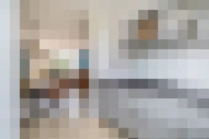 Stijn Streuvelsplantsoen 19 Hillegom thumbnail 13