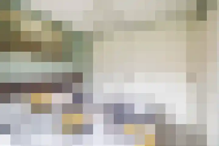 Stijn Streuvelsplantsoen 19 Hillegom thumbnail 17