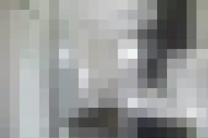 Stijn Streuvelsplantsoen 19 Hillegom thumbnail 22