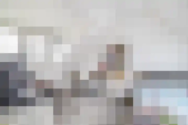 Stijn Streuvelsplantsoen 19 Hillegom thumbnail 26
