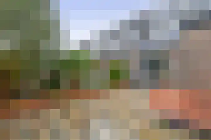 Stijn Streuvelsplantsoen 19 Hillegom thumbnail 29