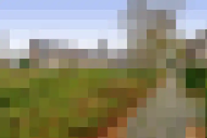 Stijn Streuvelsplantsoen 19 Hillegom thumbnail 36