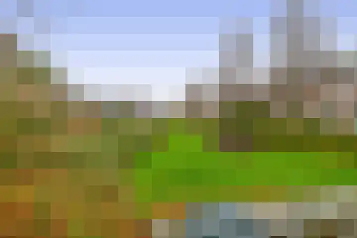 Stijn Streuvelsplantsoen 19 Hillegom thumbnail 37