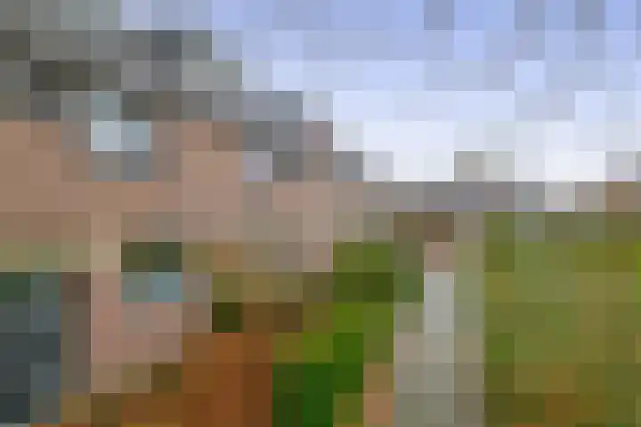 Stijn Streuvelsplantsoen 19 Hillegom thumbnail 38