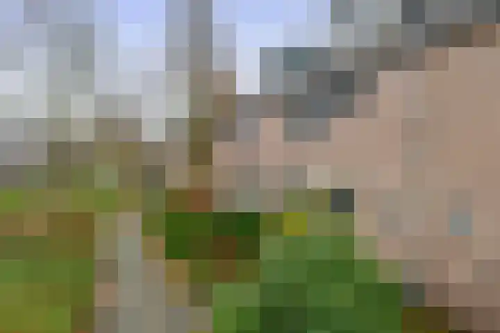 Stijn Streuvelsplantsoen 19 Hillegom thumbnail 39