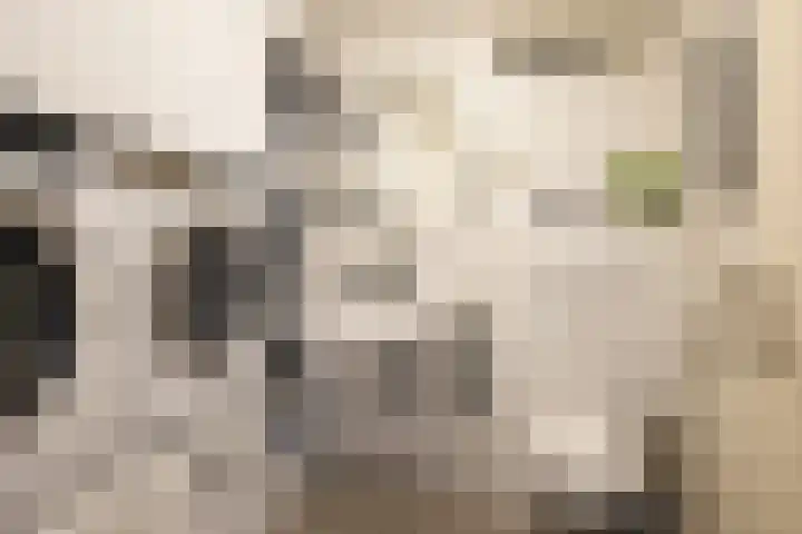 Stijn Streuvelsstraat 12 Landgraaf thumbnail 25