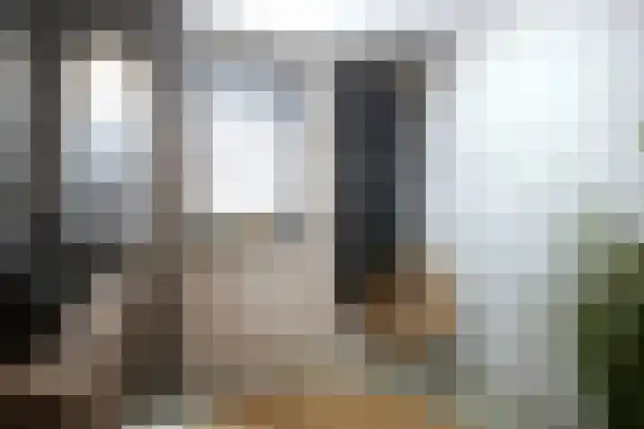 Stijn Streuvelsstraat 12 Landgraaf thumbnail 28