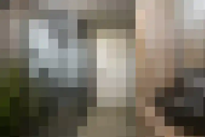 Stijn Streuvelsstraat 12 Landgraaf thumbnail 29