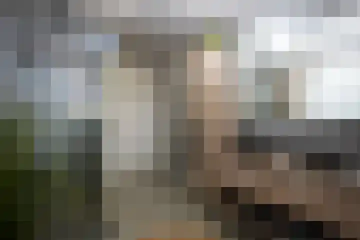 Stijn Streuvelsstraat 12 Landgraaf thumbnail 30