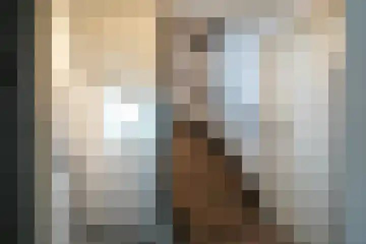 Stijn Streuvelsstraat 12 Landgraaf thumbnail 33