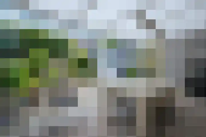 Stijn Streuvelsstraat 12 Landgraaf thumbnail 38