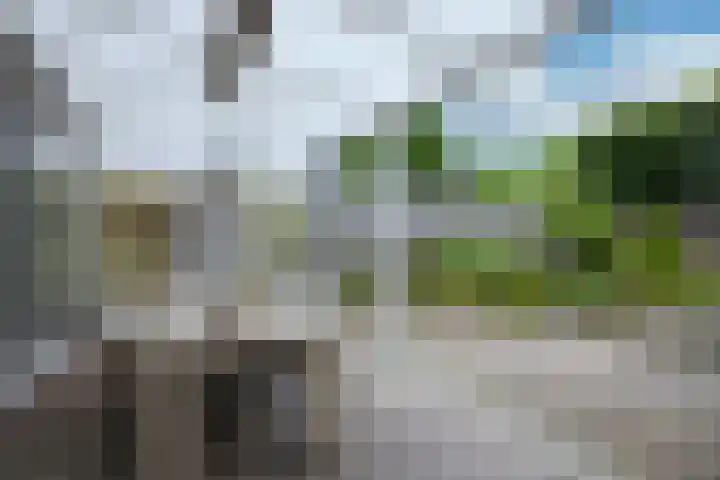 Stijn Streuvelsstraat 12 Landgraaf thumbnail 40