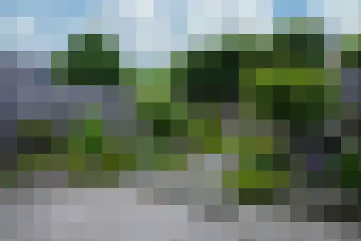 Stijn Streuvelsstraat 12 Landgraaf thumbnail 41