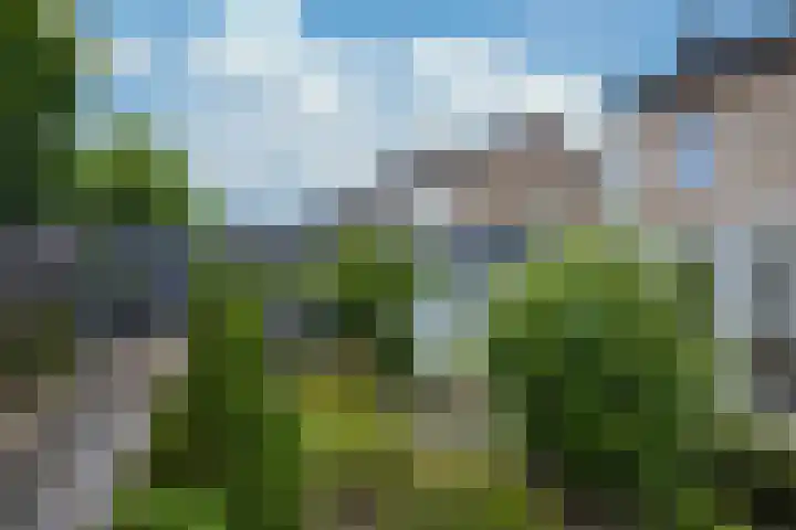 Stijn Streuvelsstraat 12 Landgraaf thumbnail 43
