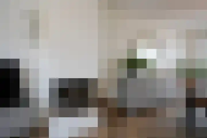 Stijn Streuvelsstraat 12 Landgraaf thumbnail 7
