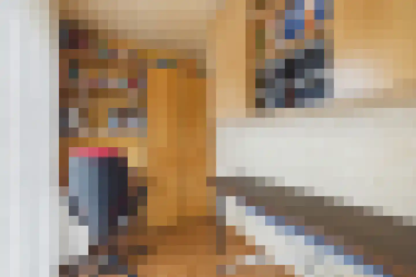 Stijn Streuvelsstraat 16 Hulst thumbnail 19