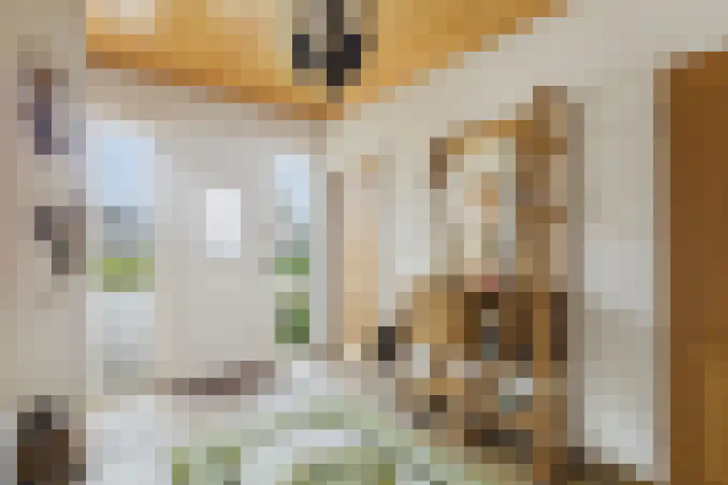 Stijn Streuvelsstraat 16 Hulst thumbnail 6