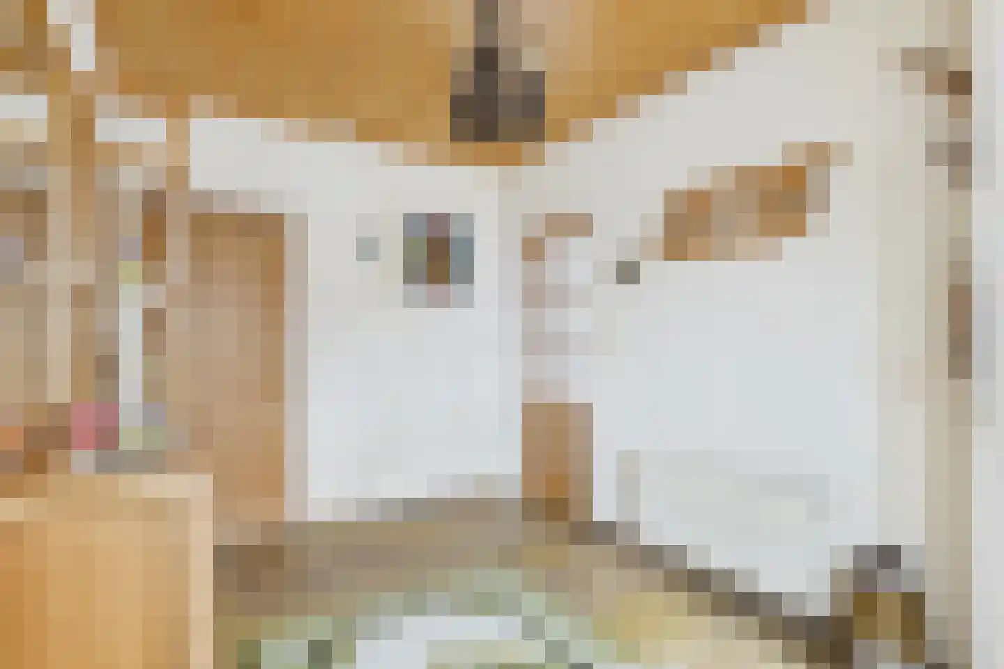 Stijn Streuvelsstraat 16 Hulst thumbnail 7