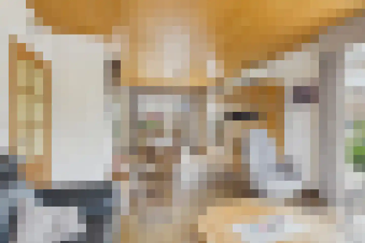 Stijn Streuvelsstraat 16 Hulst thumbnail 8