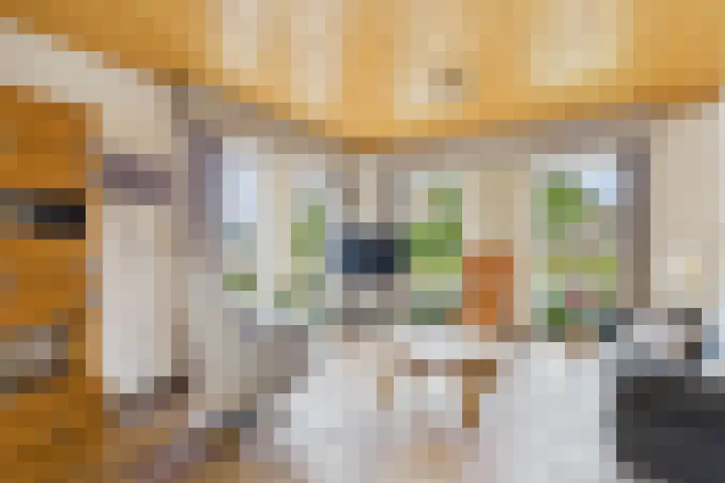 Stijn Streuvelsstraat 16 Hulst thumbnail 9