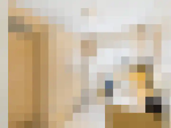 Stijn Streuvelsstraat 27 Hulst thumbnail 16