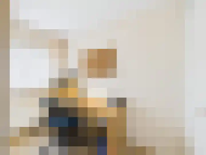 Stijn Streuvelsstraat 27 Hulst thumbnail 17