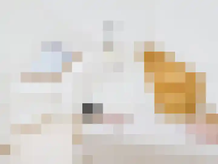 Stijn Streuvelsstraat 27 Hulst thumbnail 22