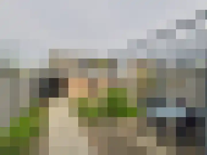Stijn Streuvelsstraat 27 Hulst thumbnail 25