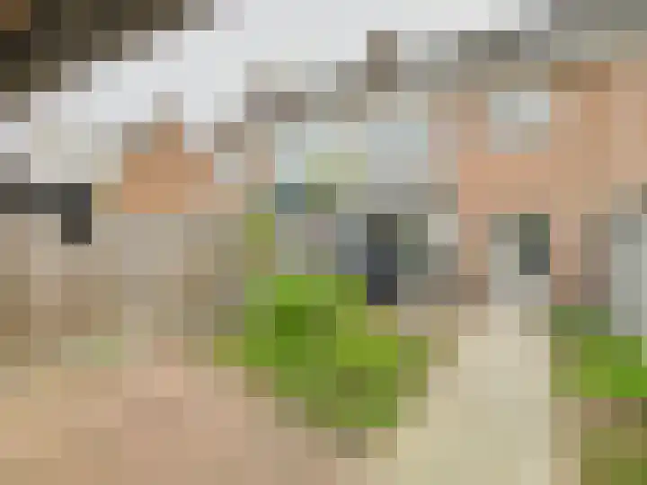 Stijn Streuvelsstraat 27 Hulst thumbnail 26