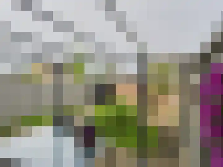 Stijn Streuvelsstraat 27 Hulst thumbnail 27