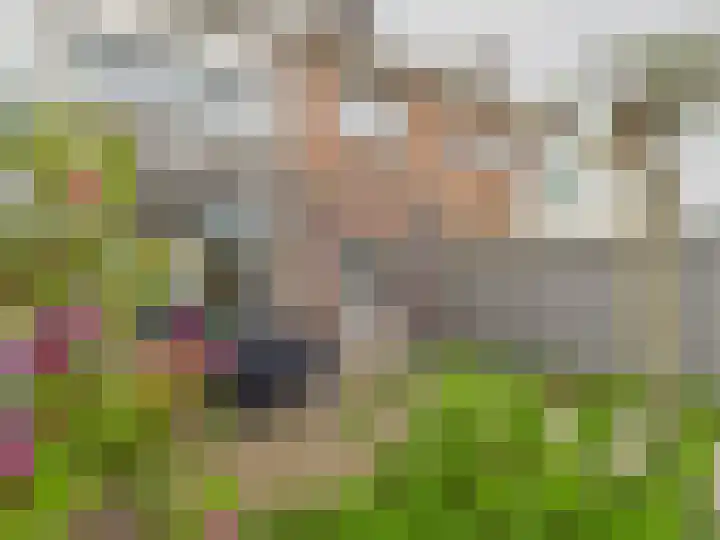 Stijn Streuvelsstraat 27 Hulst thumbnail 4