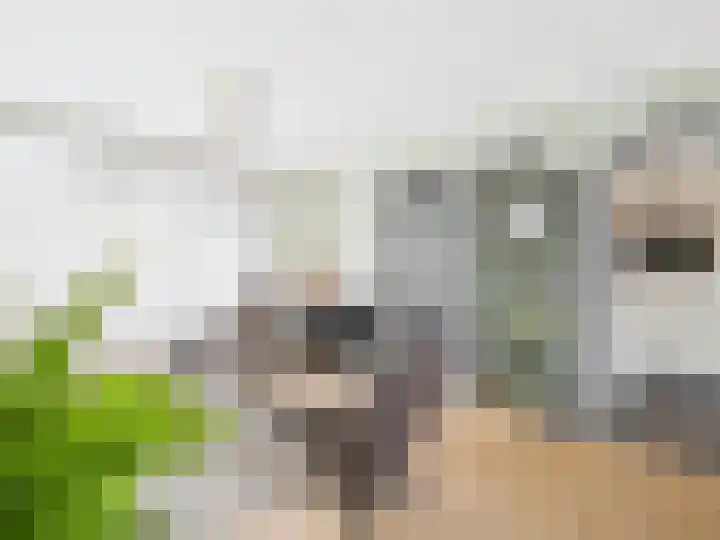 Stijn Streuvelsstraat 27 Hulst thumbnail 6