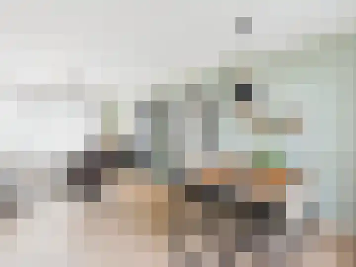 Stijn Streuvelsstraat 27 Hulst thumbnail 7